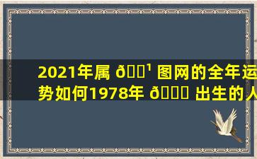 2021年属 🌹 图网的全年运势如何1978年 🐝 出生的人会受到影响吗